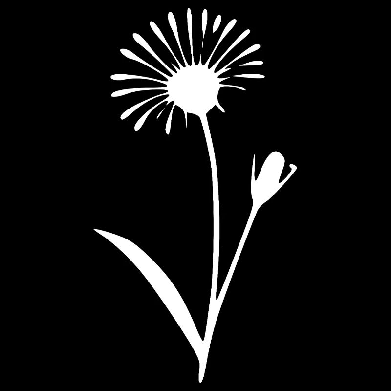 Fleurs de pissenlit Fleurs fleur Fleurs sauvages Herbes