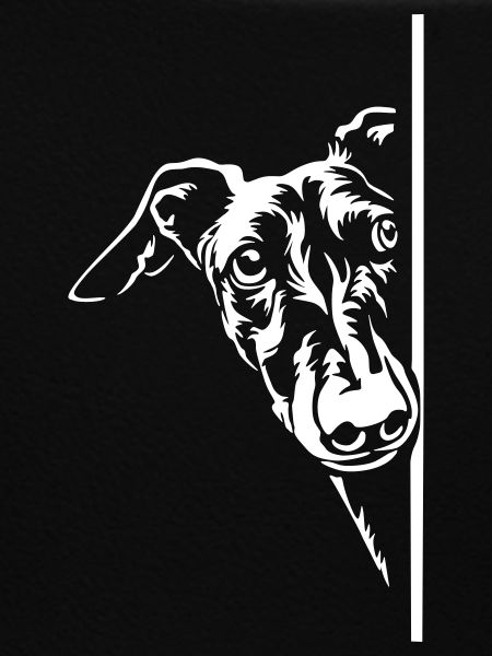 Galgo Kopf "Black Edition"