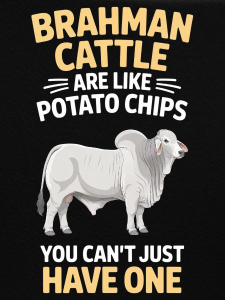 Brahman Cattle Cows Gift