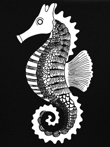 Seepferdchen Linienkunst