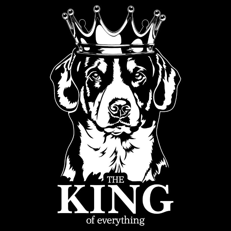 Entlebucher Mountain Dog King of everything Wilsigns