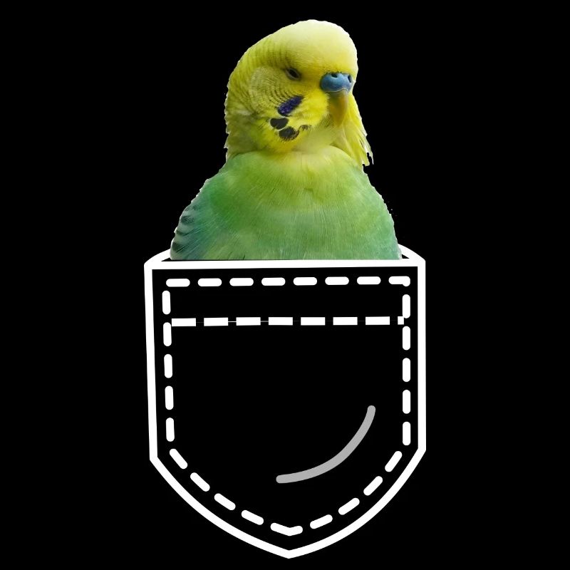 Perruche oiseau