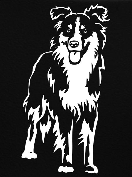 Australian Shepherd "Black Edition"