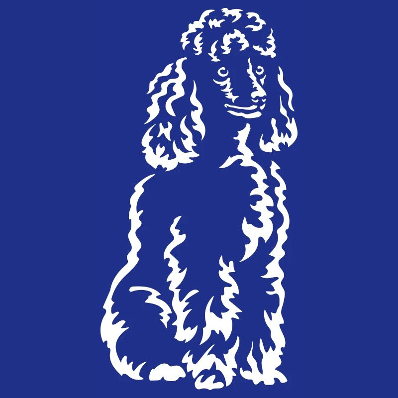 Caniche « Black Edition »