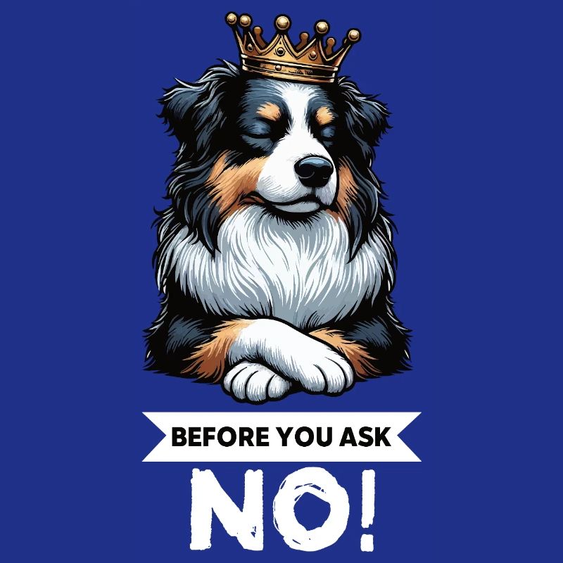 Before You Ask Australian Shepherd Aussie Aussies