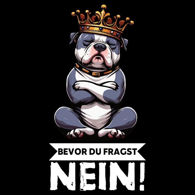 Before You Ask No American Bully Bully Pit