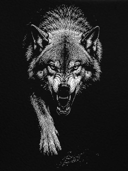 Loup