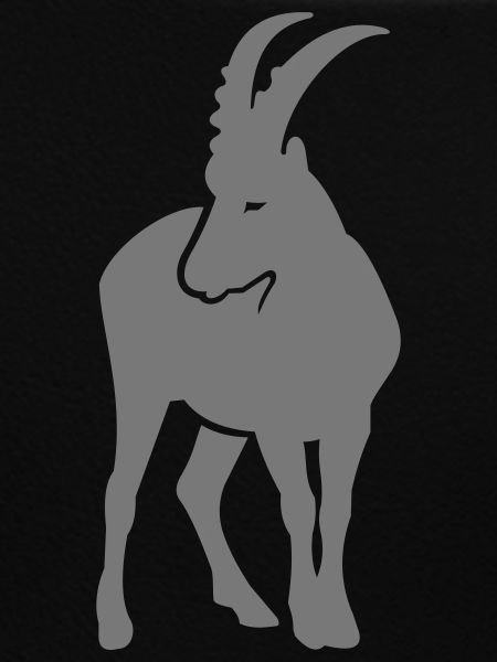 Ziegenbock Steinbock Bock Widder