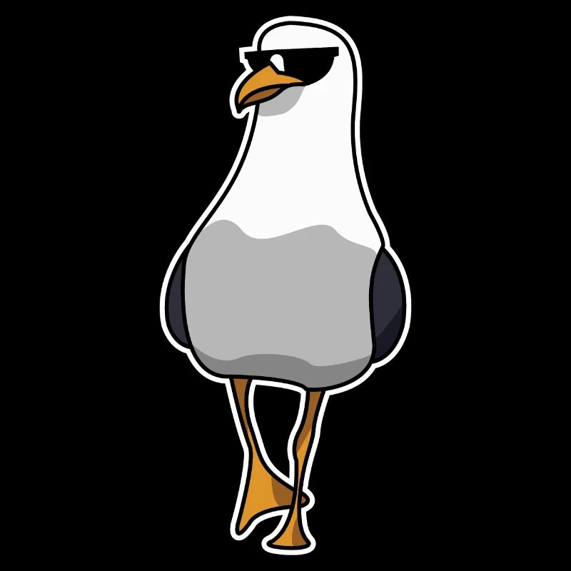 Coole Möwe Norddeutschland geht
