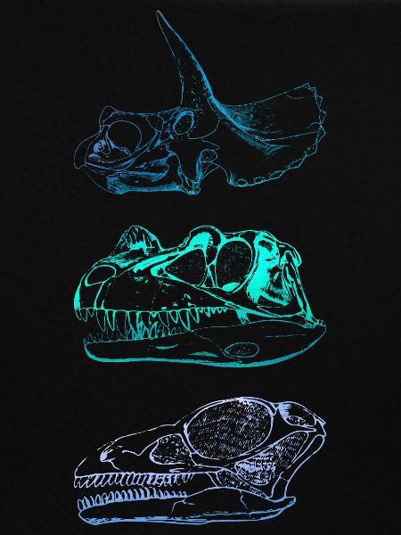 Dinosaur Skulls