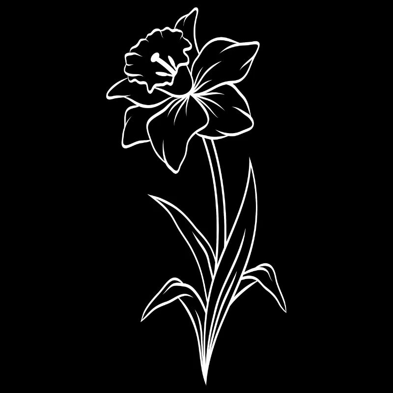 Narcissus