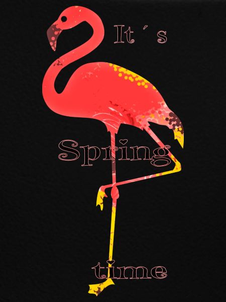 Flamingo