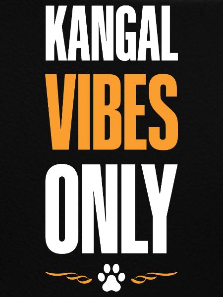 Kangal Vibes Only