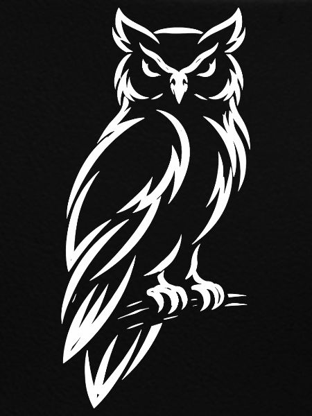 Owl – Mystical Nature Design