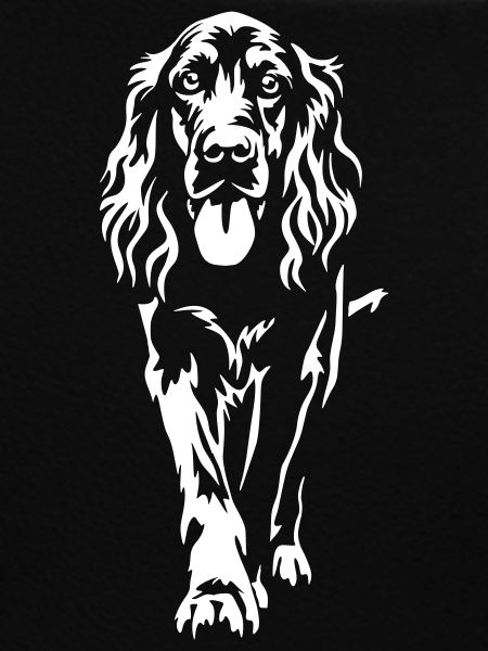 Irish Setter "Black Edition"