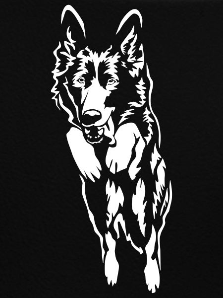 German Shepherd "Black Edition"