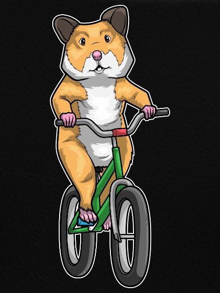 Hamster Fahrrad