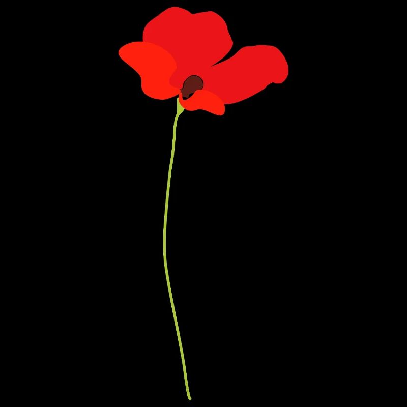 Mohnblume