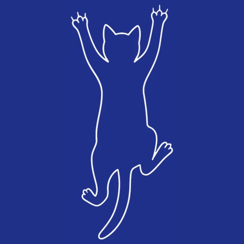 Chat grimpant.