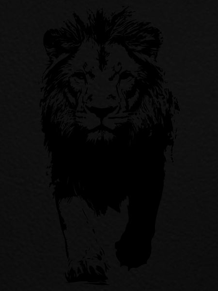 Lion Wilderness