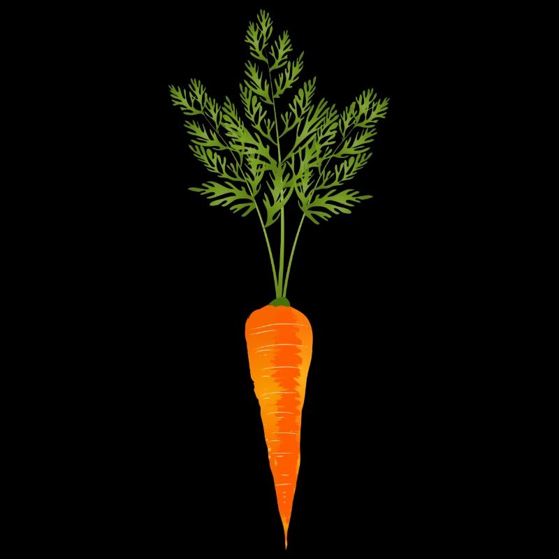 bright orange carrot with green