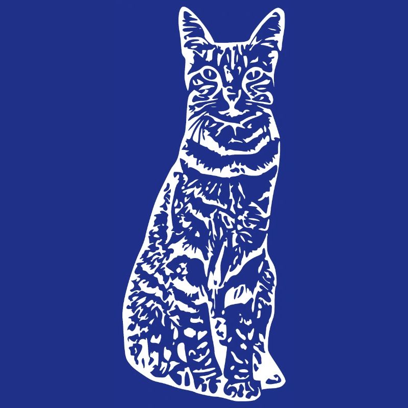 Cat cat kitten