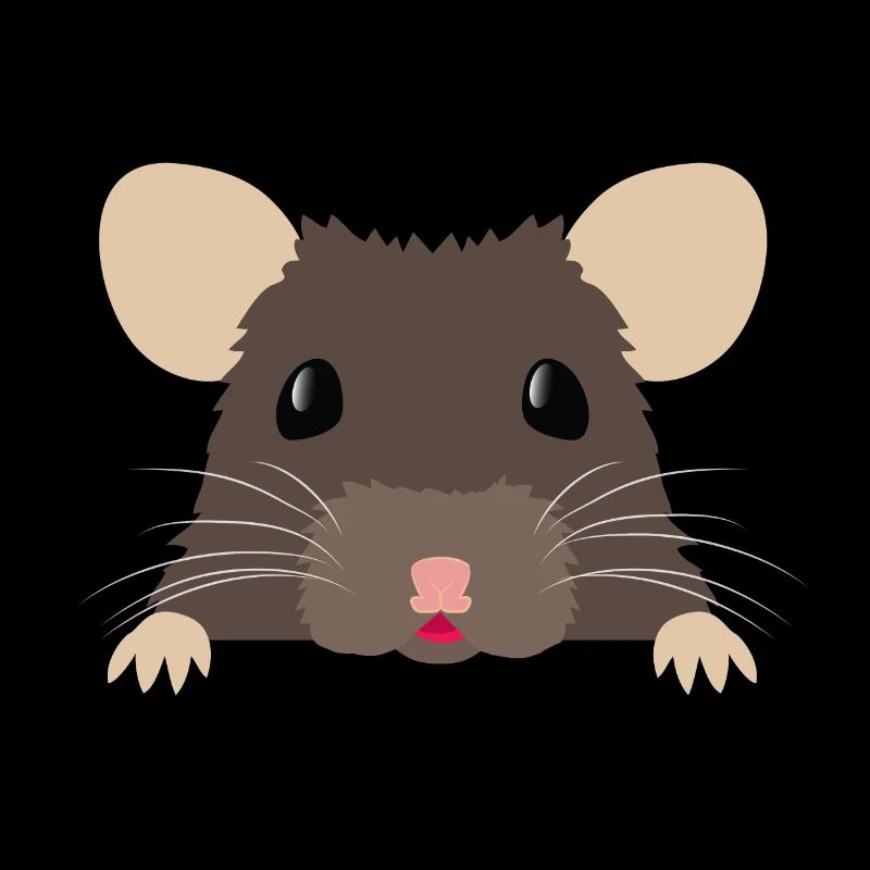 Joli rat raté