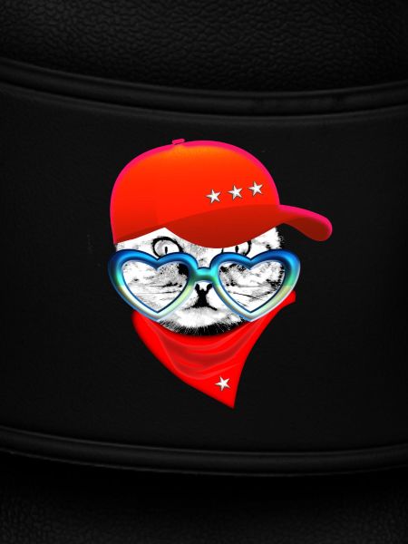 Cat funny