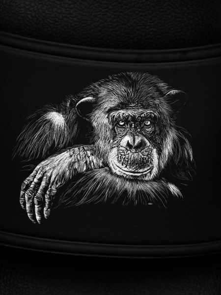monkey