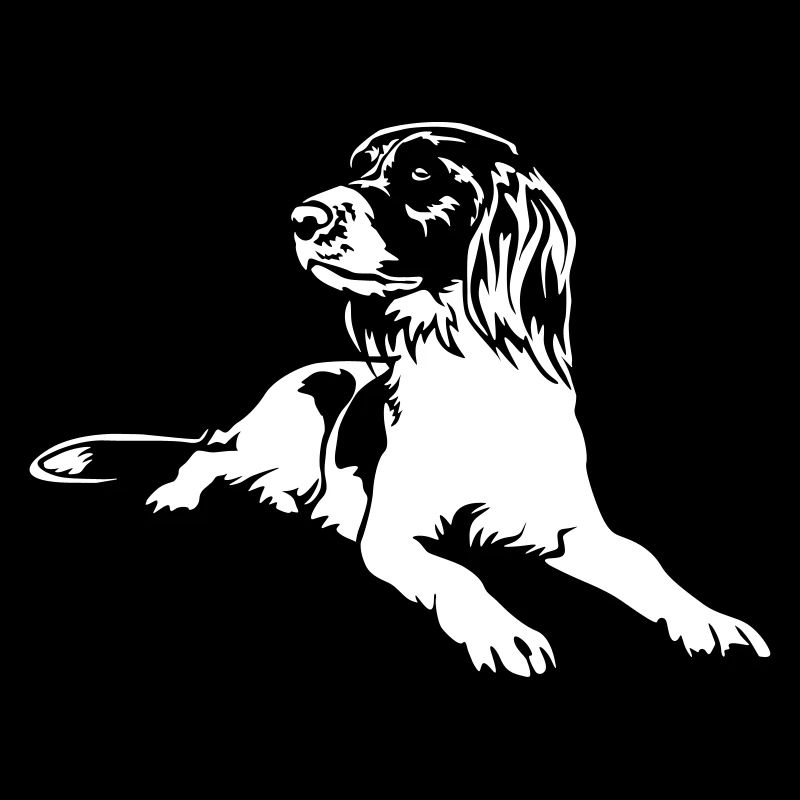 Münsterländer "Black Edition"