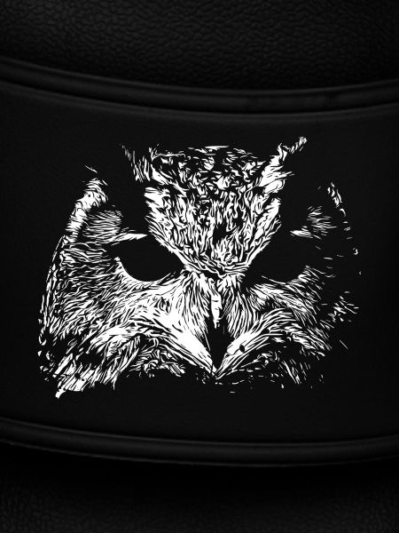 Spooky Owl