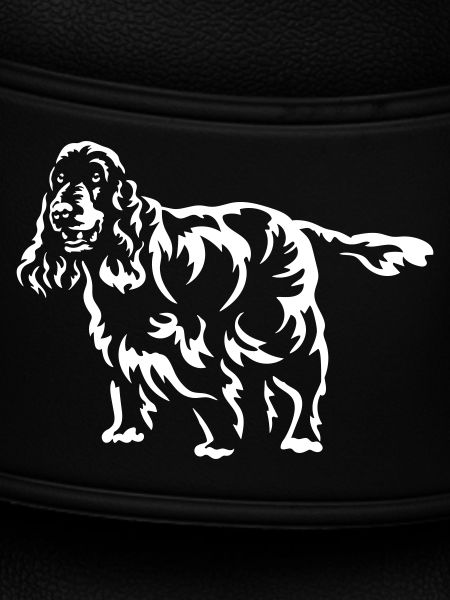 Cocker Spaniel
