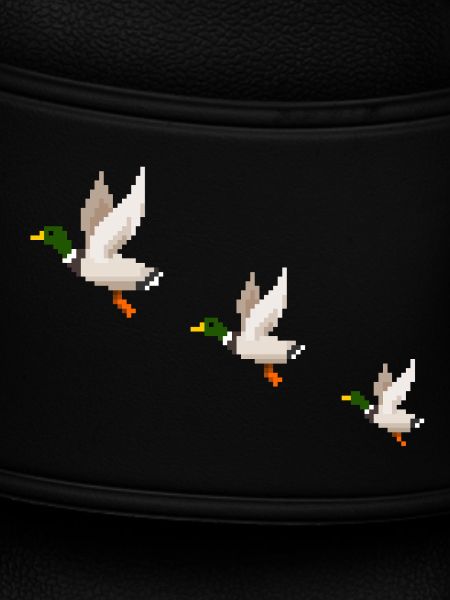 Flying Ducks