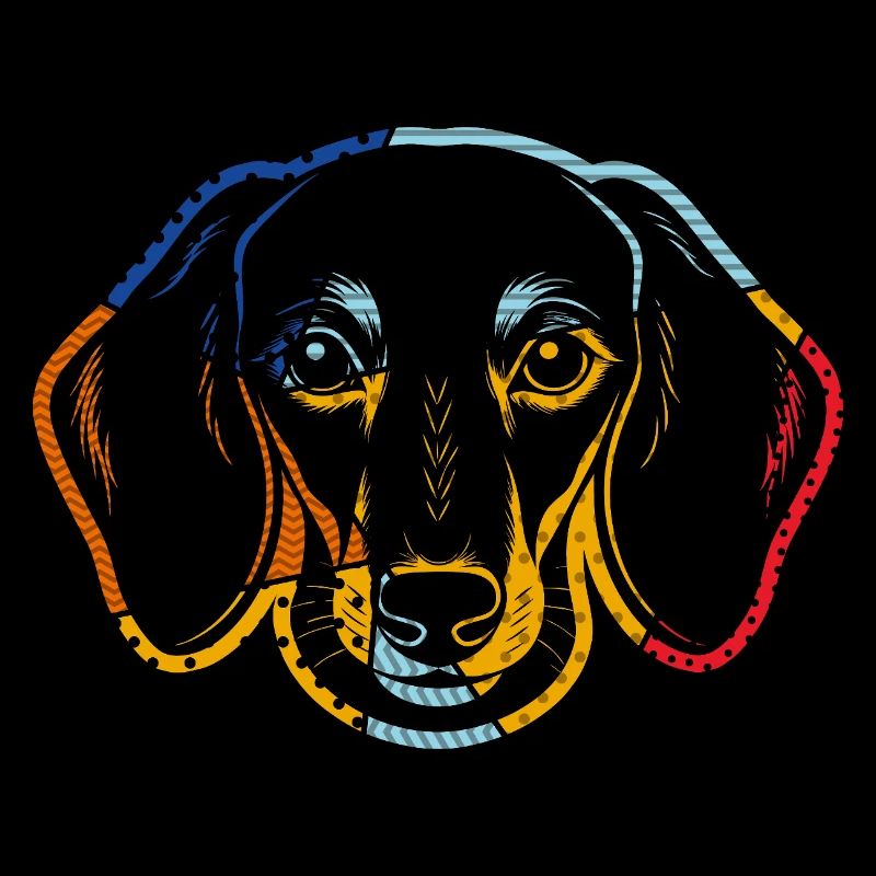 Dog Dachshund