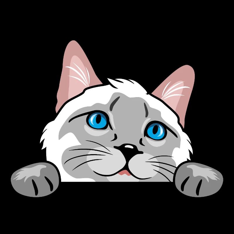 Peeking curious Siamese cat