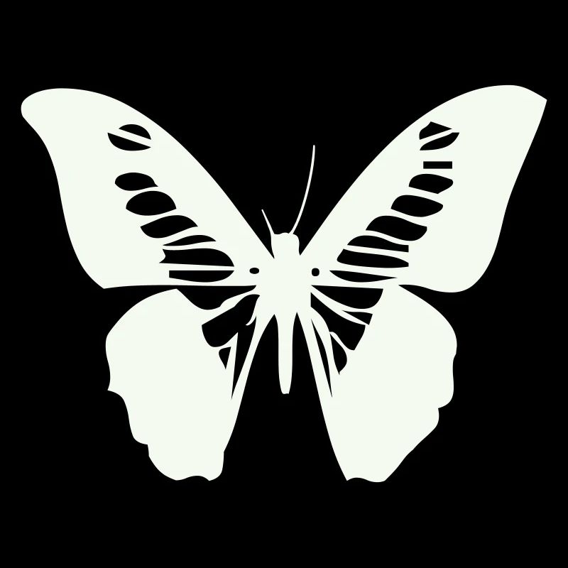 schmetterling