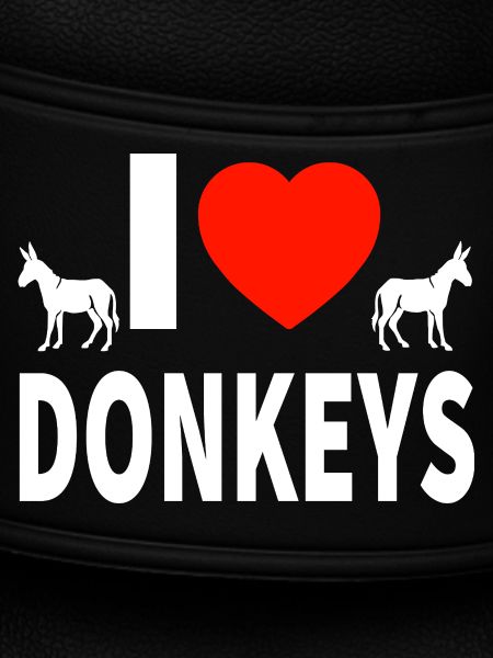 donkey