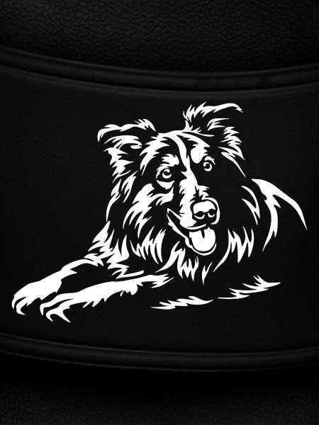 Collie "Black Edition"