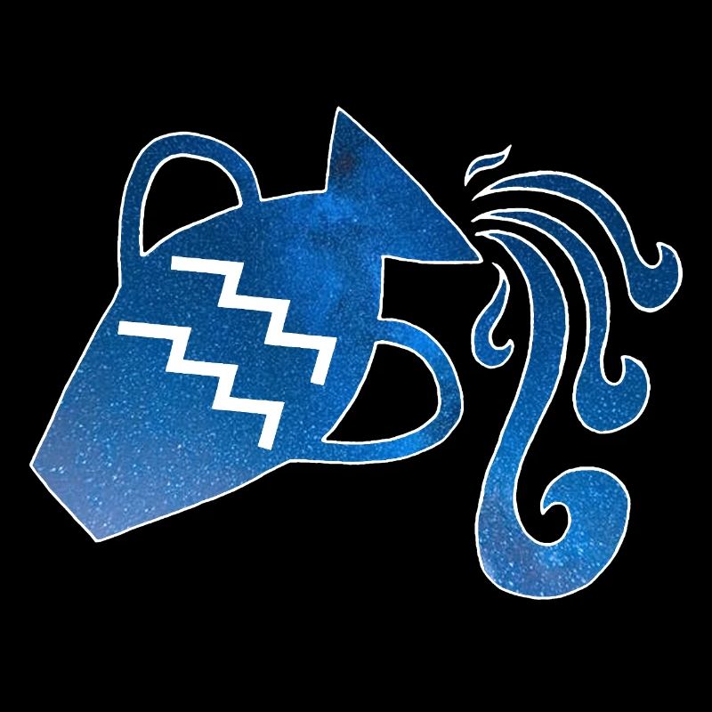 Wassermann und das Universum