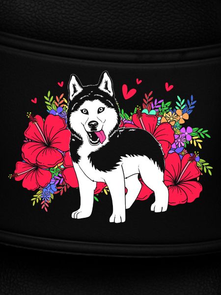 Sibirischer Husky