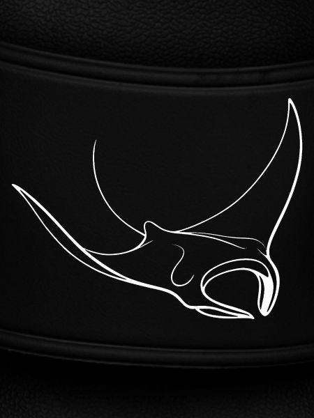 Linienstorch Kontur