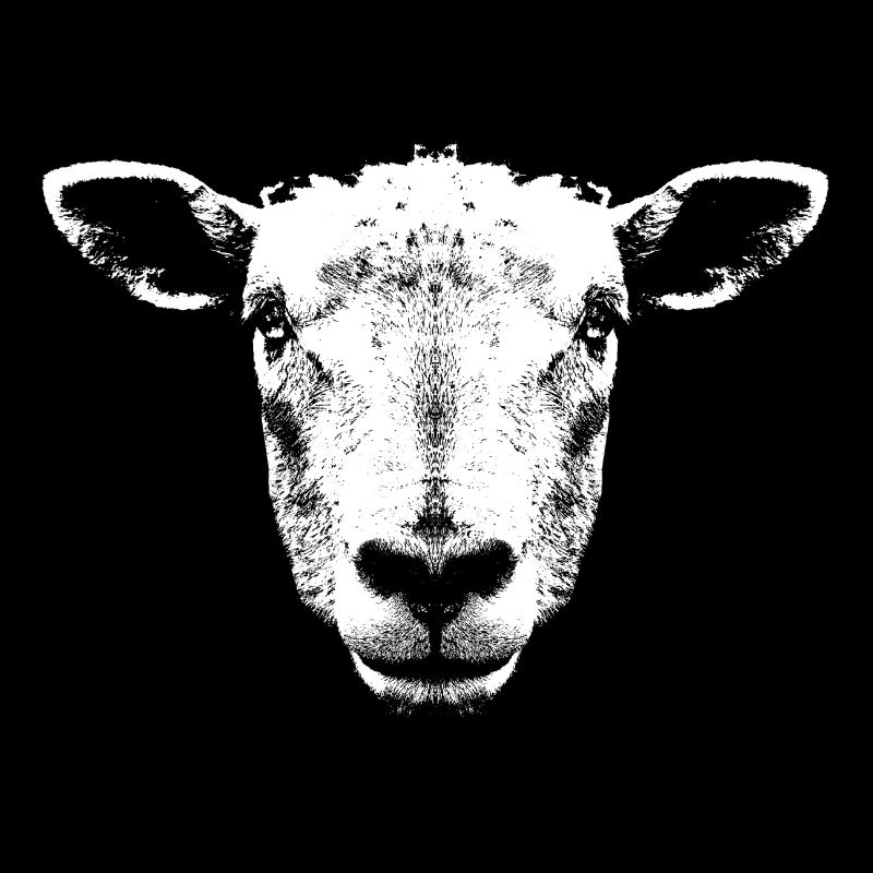 Sheep / Lamb / Head