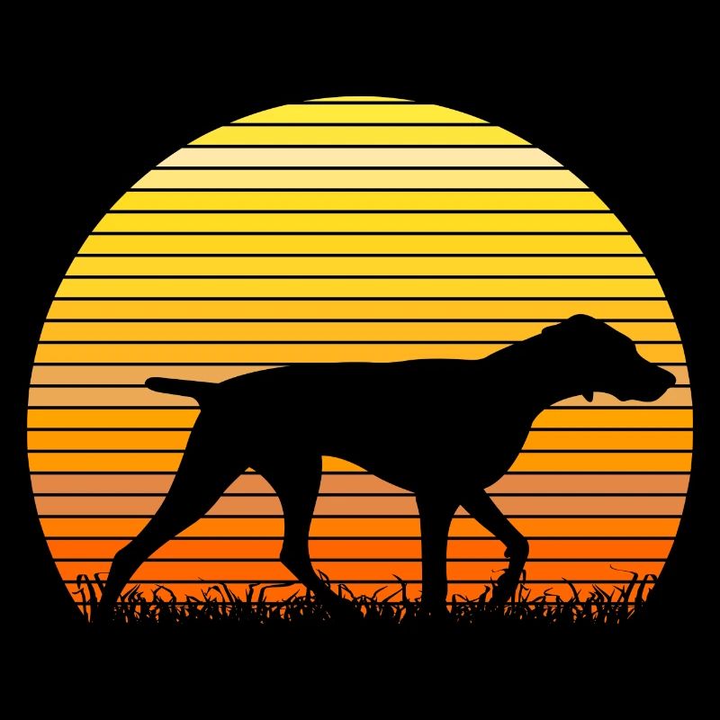 German Shorthaired Pointer Sunrise