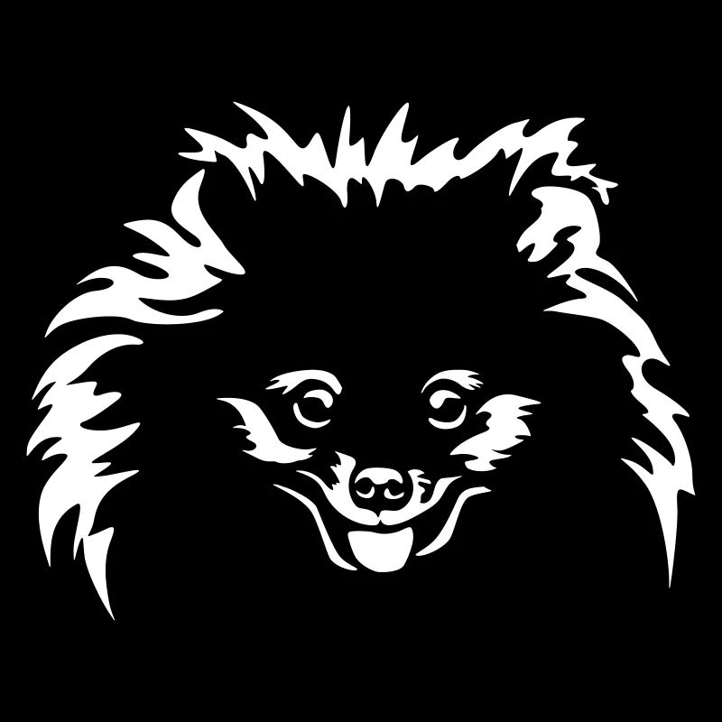 Zwergspitz Head "Black Edition"