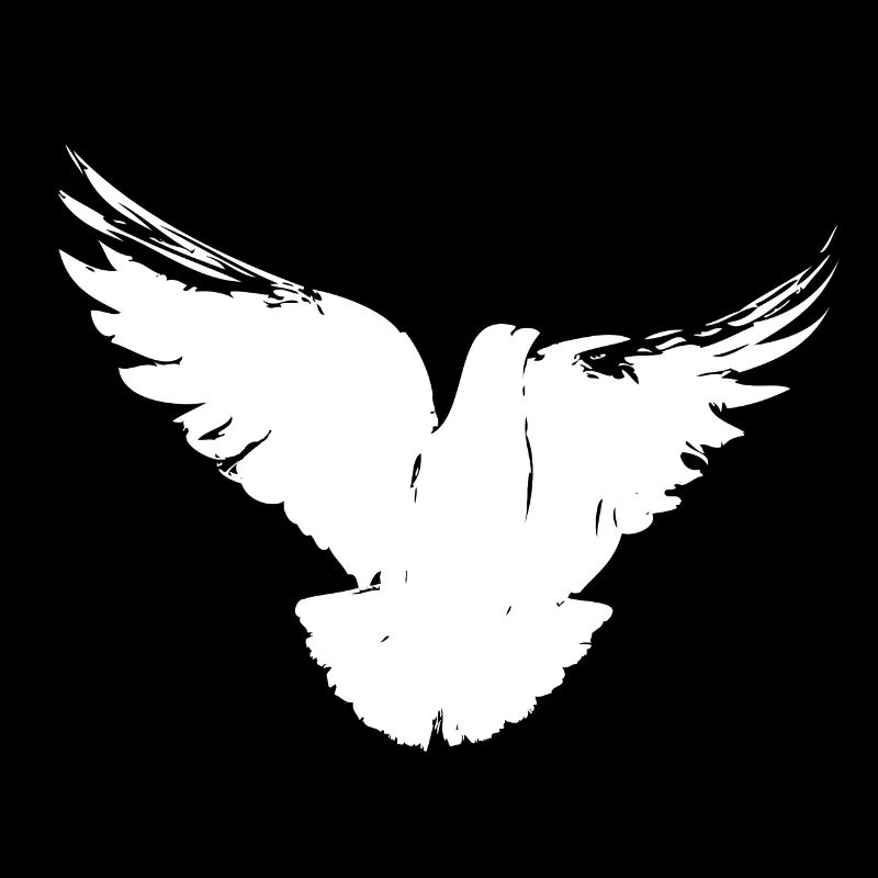 Pigeon blanc | Colombe blanche de la paix