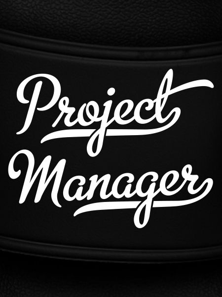 Project Manager