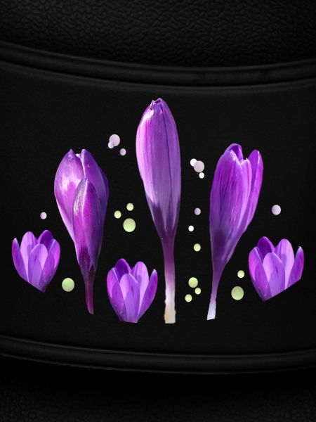 Crocuses