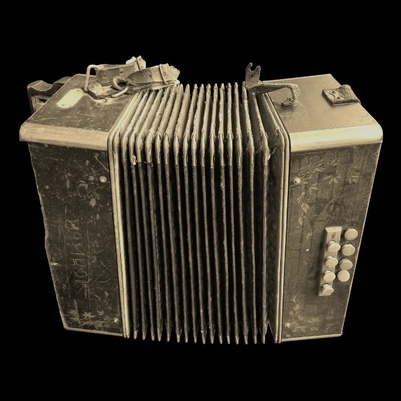 Retro Accordion - Sepia