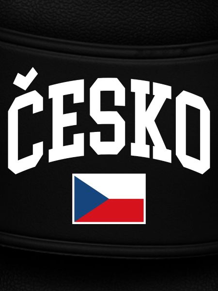 Czech Republic Flag