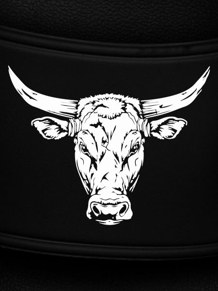 Bull Head Silhouette Design